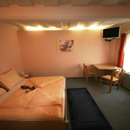 Hotel Gasthof Zum Kramer 3*