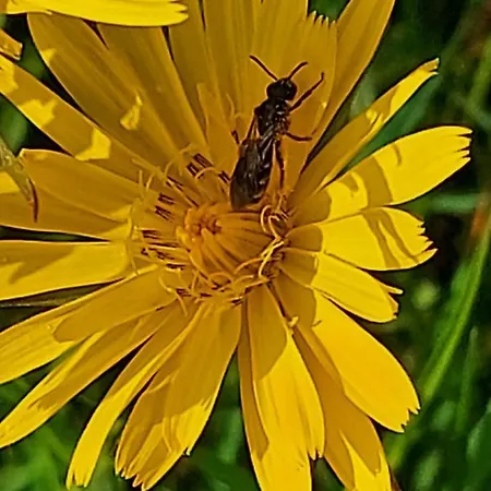 Zum Kramer Otel Gurk