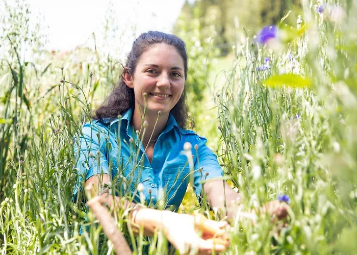 Gasthof Zum Kramer 3*