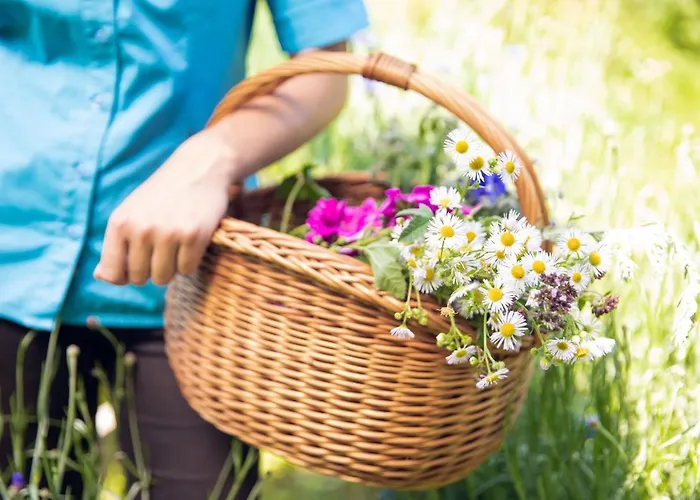 Zum Kramer Szálloda Gurk
