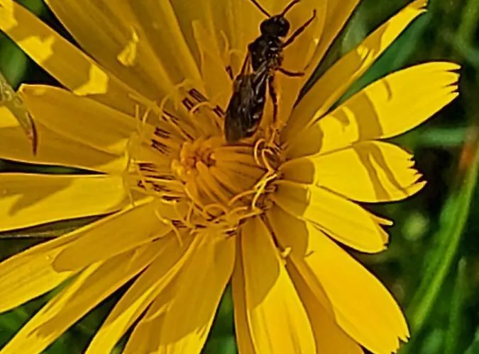 Zum Kramer Szálloda Gurk