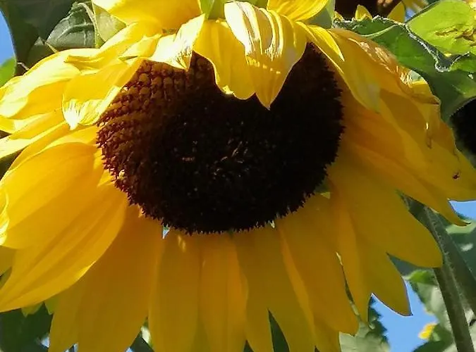 Hotel Gasthof Zum Kramer Gurk