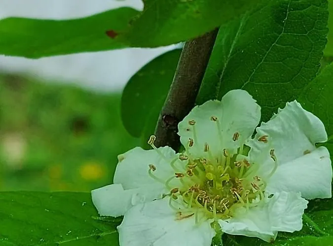 Zum Kramer Szálloda Gurk