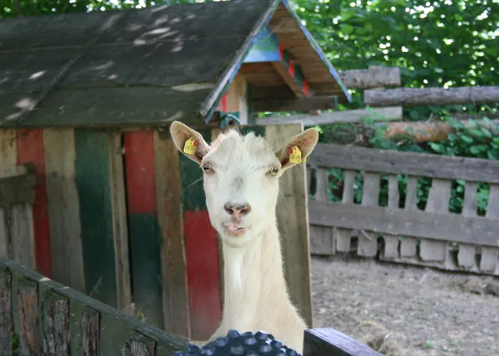 מלון Zum Kramer 3*